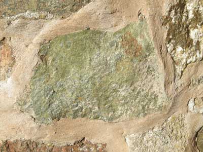 loc1_epidote